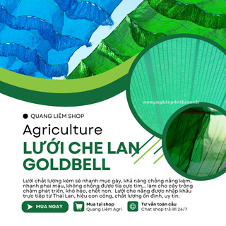 Lưới Che Nắng Thái Lan Màu Xanh/Đen Goldbell (Chuông Vàng) Độ Che Phủ 60% - BÁN THEO 1 MÉT TỚI