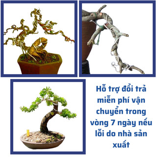 Kẽm Nhôm Uốn Cây, Dây Nhôm Uốn Cây Cảnh Bonsai Có chỉ/Không Chỉ, (2l, 2l5 → 8Ly) [BÁN TỪ 100GRAM]