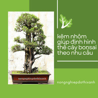 Kẽm Nhôm Uốn Cây, Dây Nhôm Uốn Cây Cảnh Bonsai Có chỉ/Không Chỉ, (2l, 2l5 → 8Ly) [BÁN TỪ 100GRAM]