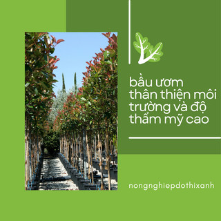 Túi Ươm Cây Giống, Bọc Bầu Ươm NiLon Đen, Đủ Các Kích Thước (5x11, 6x12,...,25x40) - [BÁN LẠNG]