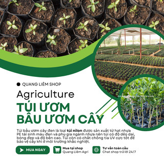 Túi Ươm Cây Giống, Bọc Bầu Ươm NiLon Đen, Đủ Các Kích Thước (5x11, 6x12,...,25x40) - [BÁN LẠNG]