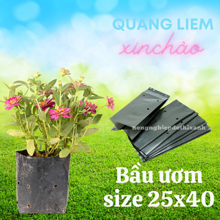 Túi Ươm Cây Giống, Bọc Bầu Ươm NiLon Đen, Đủ Các Kích Thước (5x11, 6x12,...,25x40) - [BÁN LẠNG]