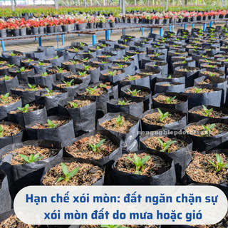 Túi Ươm Cây Giống, Bọc Bầu Ươm NiLon Đen, Đủ Các Kích Thước (5x11, 6x12,...,25x40) - [BÁN LẠNG]
