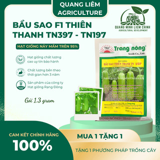 Bầu Sao F1 Thiên Thanh TN397 - TN197 (1.1gr), hạt giống nảy mầm tốt, năng suất cao, trông quanh năm