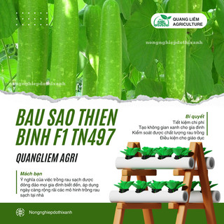 Bầu Sao Thiên Bình F1 TRANG NÔNG TN497 (1.1gr), hạt giống nảy mầm tốt, năng suất cao