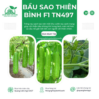 Bầu Sao Thiên Bình F1 TRANG NÔNG TN497 (1.1gr), hạt giống nảy mầm tốt, năng suất cao