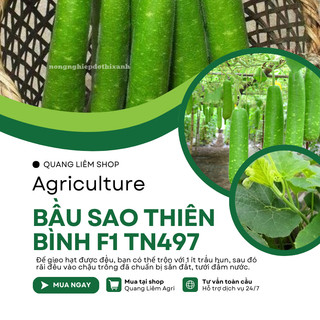 Bầu Sao Thiên Bình F1 TRANG NÔNG TN497 (1.1gr), hạt giống nảy mầm tốt, năng suất cao