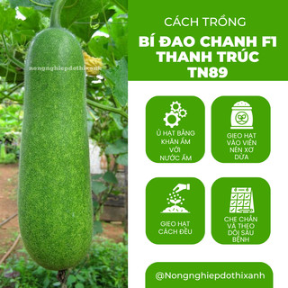 Bí Đao Chanh F1 Thanh Trúc TN88 - TN89 Trang Nông (0.3gram) , hạt giống nảy mầm tốt, năng suất cao