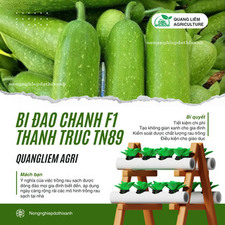 Bí Đao Chanh F1 Thanh Trúc TN88 - TN89 Trang Nông (0.3gram) , hạt giống nảy mầm tốt, năng suất cao