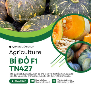 Bí Đỏ F1 TN427 (Trái Tròn) (2gram), hạt giống nảy mầm tốt, năng suất cao, trông quanh năm
