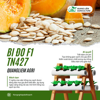 Bí Đỏ F1 TN427 (Trái Tròn) (2gram), hạt giống nảy mầm tốt, năng suất cao, trông quanh năm