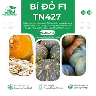Bí Đỏ F1 TN427 (Trái Tròn) (2gram), hạt giống nảy mầm tốt, năng suất cao, trông quanh năm