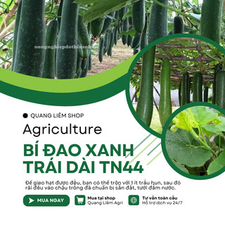 Bí Đao Xanh Trái Dài Trang Nông TN44 (2gram), hạt giống nảy mầm tốt, năng suất cao, trông quanh năm