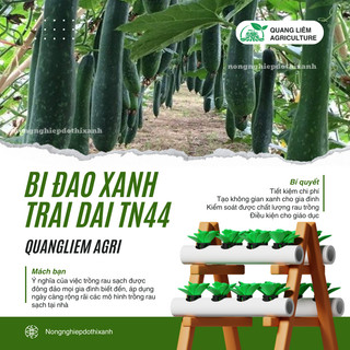 Bí Đao Xanh Trái Dài Trang Nông TN44 (2gram), hạt giống nảy mầm tốt, năng suất cao, trông quanh năm