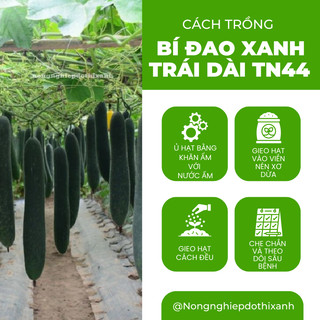 Bí Đao Xanh Trái Dài Trang Nông TN44 (2gram), hạt giống nảy mầm tốt, năng suất cao, trông quanh năm