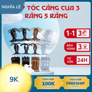 (SET 10 CÁI) Kẹp Tóc Càng Cua 3 Răng 5 Răng Hàn Quốc Đen Nhám Đen Bóng Cặp Tóc Búi Tóc Dẻo Không Gãy KT2