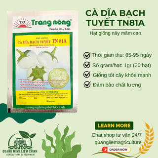 Cà Dĩa Bạch Tuyết TN81A (1gr), hạt giống nảy mầm tốt, năng suất cao, trông quanh năm