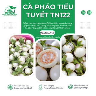 Cà Pháo Tiểu Tuyết TN122 (1gr) Trang Nông, hạt giống nảy mầm tốt, năng suất cao, trông quanh năm