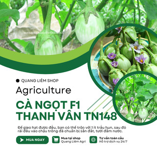 Cà ngọt F1 Thanh Vân TN148 (1gr) Trang Nông, hạt giống nảy mầm tốt, năng suất cao, trông quanh năm