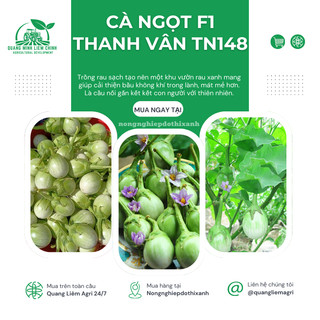 Cà ngọt F1 Thanh Vân TN148 (1gr) Trang Nông, hạt giống nảy mầm tốt, năng suất cao, trông quanh năm