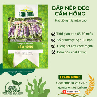Hạt Giống Bắp Nếp Dẻo Cẩm Hồng RADO (Gói 5g~30 Hạt) Rạng Đông, Trái To, Hạt Dẻo, Rất Thơm