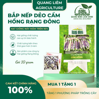Hạt Giống Bắp Nếp Dẻo Cẩm Hồng RADO (Gói 5g~30 Hạt) Rạng Đông, Trái To, Hạt Dẻo, Rất Thơm