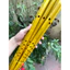 Sáo trúc ngang ( phù hợp trẻ em ), sáo trúc , nhạc cụ biểu diễn , sáo trúc cổ truyền