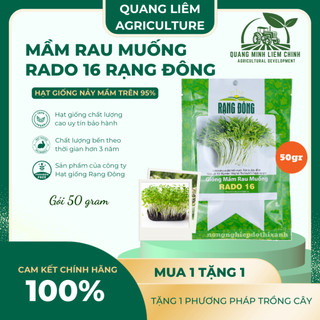 Hạt Giống Mầm Rau Muống RADO 16 (Gói 50g~1000 Hạt) Rạng Đông, Giàu Dinh Dưỡng, Nhanh Thu Hoạch