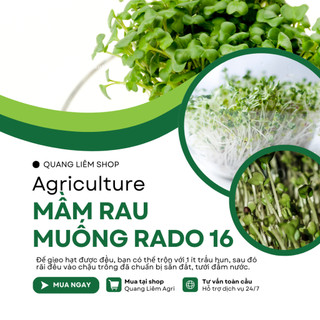 Hạt Giống Mầm Rau Muống RADO 16 (Gói 50g~1000 Hạt) Rạng Đông, Giàu Dinh Dưỡng, Nhanh Thu Hoạch