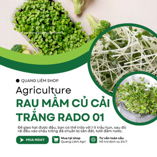 Hạt Giống Rau Mầm Củ Cải Trắng RADO 01 (Gói 50g~3000 Hạt) Rạng Đông, Nảy Mầm Đồng Đều