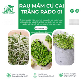 Hạt Giống Rau Mầm Củ Cải Trắng RADO 01 (Gói 50g~3000 Hạt) Rạng Đông, Nảy Mầm Đồng Đều
