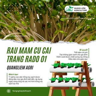 Hạt Giống Rau Mầm Củ Cải Trắng RADO 01 (Gói 50g~3000 Hạt) Rạng Đông, Nảy Mầm Đồng Đều