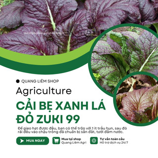 Cải bẹ xanh lá đỏ zuki Trang Nông TN99 (10gr), hạt giống nảy mầm tốt, năng suất cao, trông quanh năm