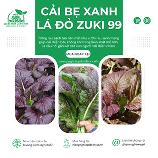 Cải bẹ xanh lá đỏ zuki Trang Nông TN99 (10gr), hạt giống nảy mầm tốt, năng suất cao, trông quanh năm