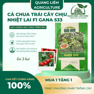 Hạt Giống Cà Chua Trái Cây Chịu Nhiệt Lai F1 Gana RADO 533 (Gói 3 Hạt) Rạng Đông, Sai Trái, Vị Ngọt