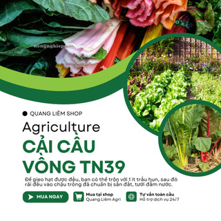 Cải Cầu Vồng TN39 (10gram) Trang Nông, hạt giống nảy mầm tốt, năng suất cao, trông quanh năm