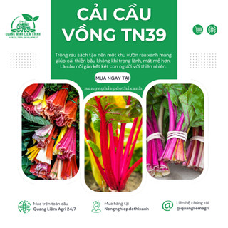 Cải Cầu Vồng TN39 (10gram) Trang Nông, hạt giống nảy mầm tốt, năng suất cao, trông quanh năm