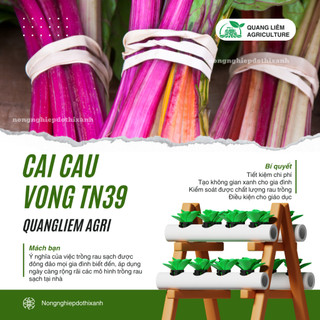 Cải Cầu Vồng TN39 (10gram) Trang Nông, hạt giống nảy mầm tốt, năng suất cao, trông quanh năm