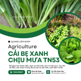 Cải Bẹ Xanh Chịu Mưa TRANG NÔNG TN53 (100gr), hạt giống nảy mầm tốt, năng suất cao, trông quanh năm