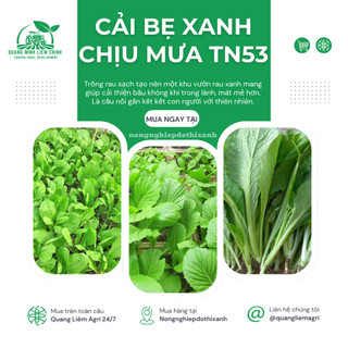 Cải Bẹ Xanh Chịu Mưa TRANG NÔNG TN53 (100gr), hạt giống nảy mầm tốt, năng suất cao, trông quanh năm