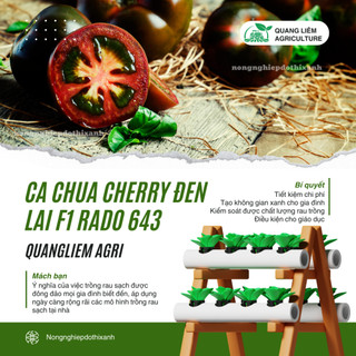 Hạt Giống Cà Chua Cherry Đen Lai F1 RADO 643 (Gói 0,1g~45 Hạt) Rạng Đông, Trồng Quanh Năm