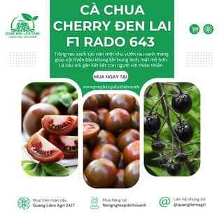 Hạt Giống Cà Chua Cherry Đen Lai F1 RADO 643 (Gói 0,1g~45 Hạt) Rạng Đông, Trồng Quanh Năm