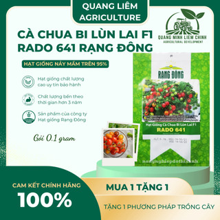 Hạt Giống Cà Chua Bi Lùn Lai F1 RADO 641 (Gói 0,1g~30 Hạt) Rạng Đông, Trồng Chậu, Dễ Chăm Sóc