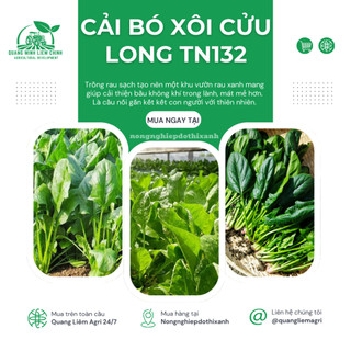 Cải Bó Xôi Cửu Long Trang Nông TN132 (20gram), hạt giống nảy mầm tốt, năng suất cao, trông quanh năm