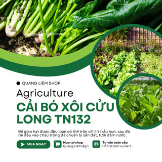 Cải Bó Xôi Cửu Long Trang Nông TN132 (20gram), hạt giống nảy mầm tốt, năng suất cao, trông quanh năm