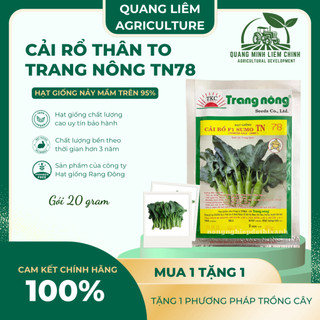 Cải Rổ Thân To Trang Nông TN78 (20grram), hạt giống nảy mầm tốt, năng suất cao, trông quanh năm