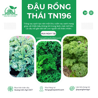 Đậu Rồng Thái Trang Nông 196 (20gram), Hạt Giống Nảy Mầm Tốt, Năng Suất Cao, Trông Quanh Năm