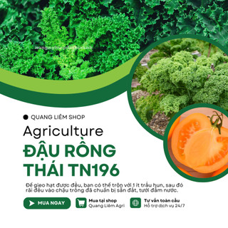 Đậu Rồng Thái Trang Nông 196 (20gram), Hạt Giống Nảy Mầm Tốt, Năng Suất Cao, Trông Quanh Năm