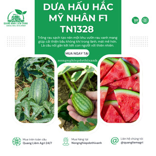 Dưa Hấu Hắc Mỹ Nhân Trang Nông F1 TN1328 (1gr), Hạt Giống Nảy Mầm Tốt, Năng Suất Cao Trông Quanh Năm