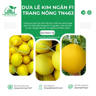 Dưa Lê Kim Ngân F1 TN463 (1gr) Trang Nông, Hạt Giống Nảy Mầm Tốt, Năng Suất Cao, Trông Quanh Năm